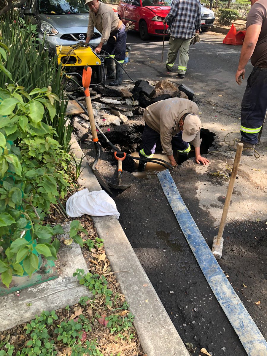 René Torres tweet media