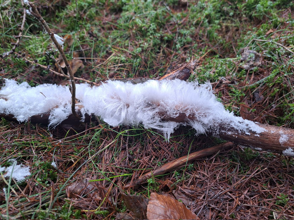 LCSEA's tweet image. Vandaag #Veluwezoom! Prachtige dag voor buiten 💚 #natuurmonumenten