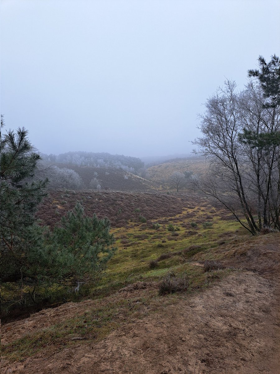 LCSEA's tweet image. Vandaag #Veluwezoom! Prachtige dag voor buiten 💚 #natuurmonumenten