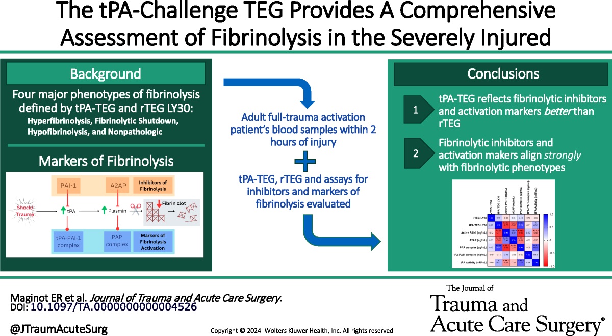 Elizabeth Maginot, MD (@e_magination95) on Twitter photo How do fibrinolytic markers impact trauma care? Our study in <a href="/JTraumAcuteSurg/">Journal of Trauma and Acute Care Surgery</a> investigates why tPA-TEG is better at identifying fibrinolytic phenotype and outcomes. Check it out: journals.lww.com/jtrauma/abstra… <a href="/ChrisBarrettMD/">Christopher Barrett M.D.</a> <a href="/UNMC_ACS/">UNMC Acute Care Surgery / Level 1 Trauma Center</a> <a href="/UNMCSurgery/">University of Nebraska General Surgery Residency</a> How do fibrinolytic markers impact trauma care? Our study in <a href="/JTraumAcuteSurg/">Journal of Trauma and Acute Care Surgery</a> investigates why tPA-TEG is better at identifying fibrinolytic phenotype and outcomes. Check it out: journals.lww.com/jtrauma/abstra… <a href="/ChrisBarrettMD/">Christopher Barrett M.D.</a> <a href="/UNMC_ACS/">UNMC Acute Care Surgery / Level 1 Trauma Center</a> <a href="/UNMCSurgery/">University of Nebraska General Surgery Residency</a>