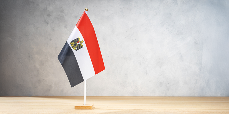 TheGCSP's tweet photo. 💡 Join us for an engaging conversation on the security dynamics in the Middle East and North Africa, and #Egypt's role in promoting regional stability ➡️ https://t.co/VIEU3qao1k

📅 28 January
⏰ 09:30 - 11:00 (CET) - ☕ light breakfast at 9:00
📍 Geneva

#GenevaSecurityDebate https://t.co/dTcYwvFRjL
