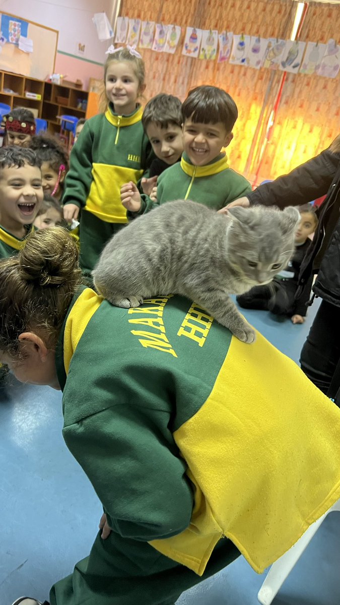 dohahawad's tweet photo. Today, KG3 “C” learners had a special visit from Charley the cat! We learned about the characteristics of living things, and Charley amazed us by walking on the back of our friend Karam—an unforgettable moment for all of us!🐱🐾 @Hhhsinfo @tbaassiri @sashgh @WKNader @monifa_baba https://t.co/cYz3h0749Z
