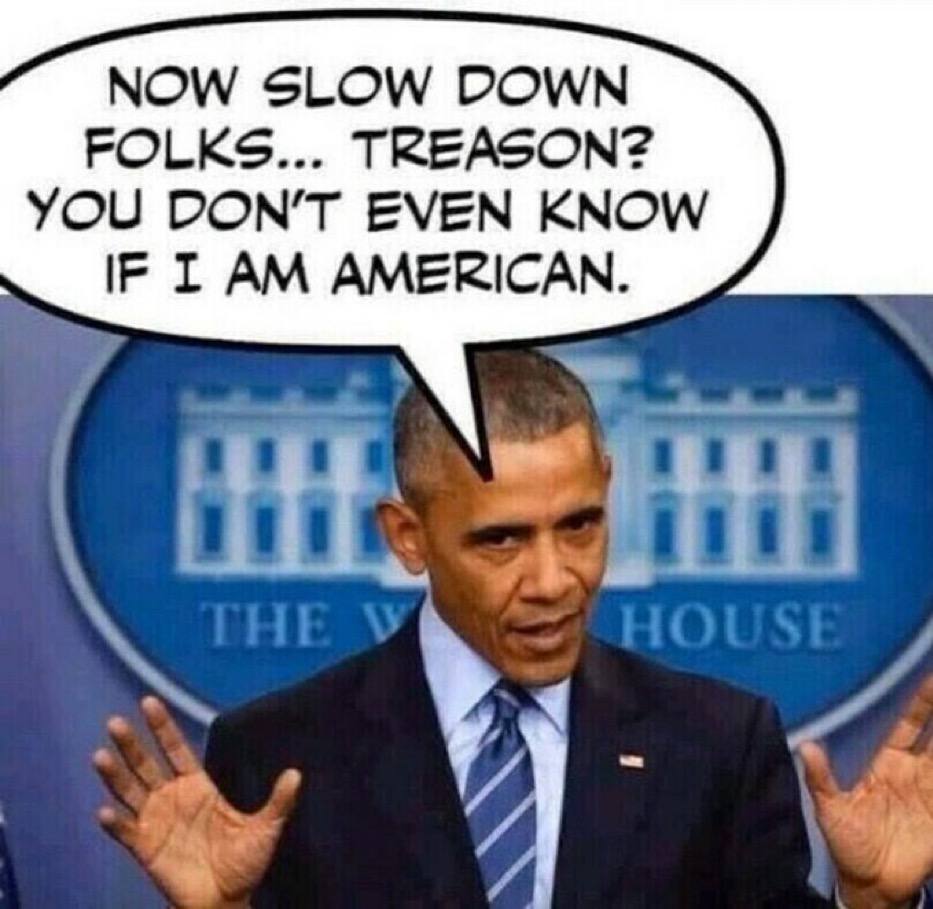 battleofever's tweet image. #ObamaGate
#Spygate 
#Treason