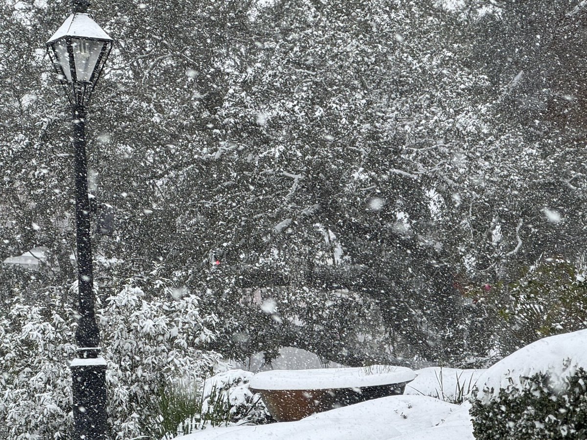 Paul Murphy tweet media