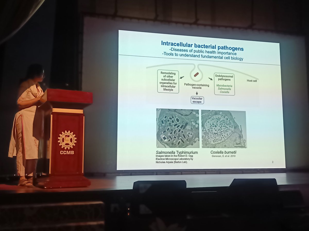 sriram_varahan's tweet image. The final session of Day 2 had 5 amazing talks by Sarika (NII), @MotianiRaj1 @SandhyaGansan @UrmiBandyopadh1 &amp;amp; Manjula (RCB) on topics ranging from host-pathogen interactions to lysosomal amino acid storage in health and disease

Looking forward to Day 3 of the Meeting @ccmb_csir
