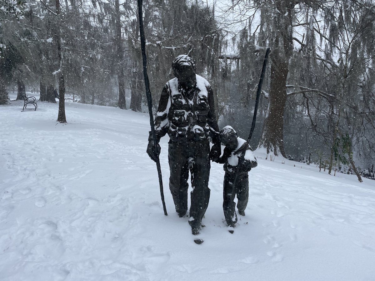 JeffDuncan_'s tweet photo. Audubon Park, Jan. 21, 2025 https://t.co/iwo0EDTgj2