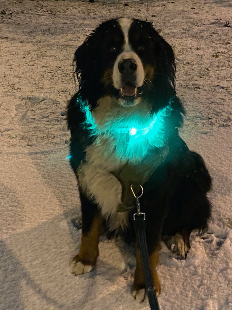 Dean Hamilton tweet media