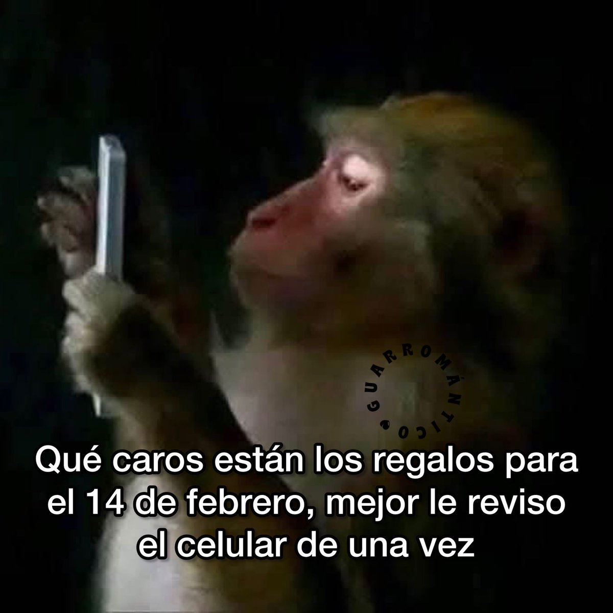 Guarromantico_'s tweet photo. Mejor. https://t.co/5vp8yPUyxQ