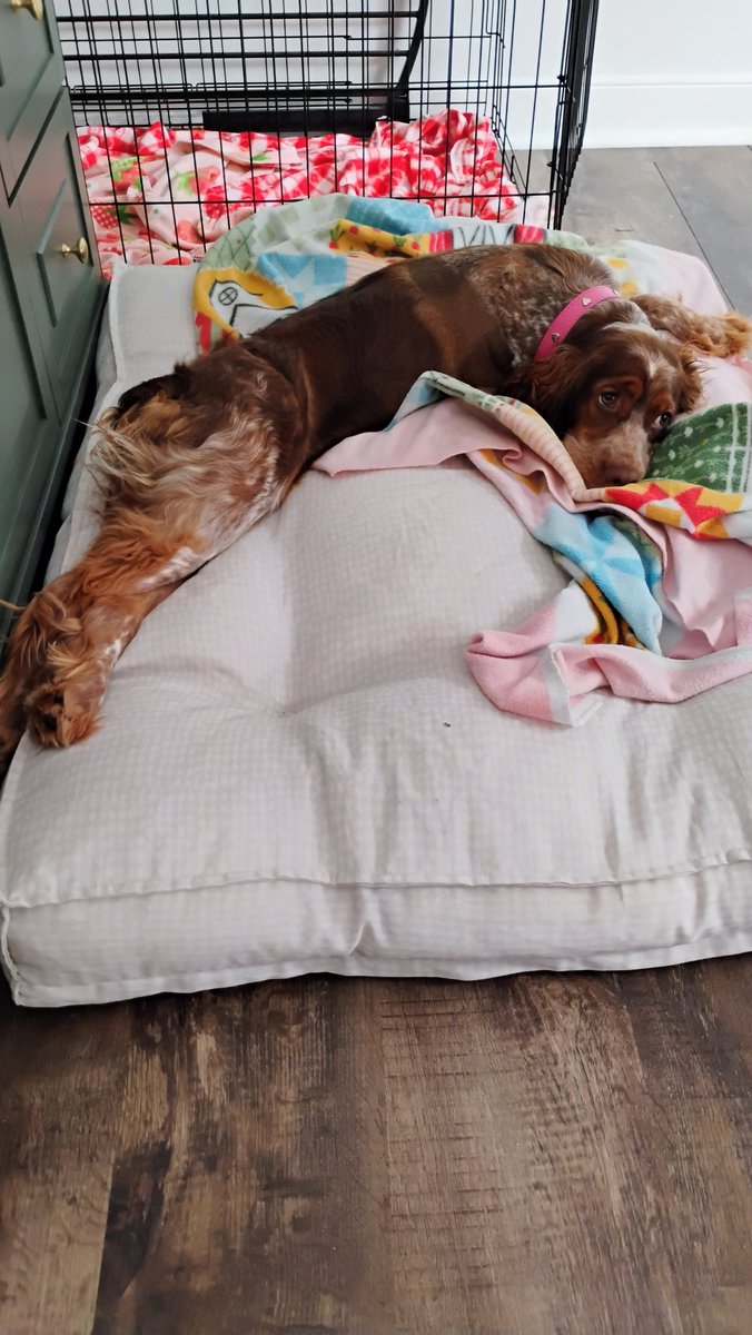 She's a princess and a sweetie 🥰