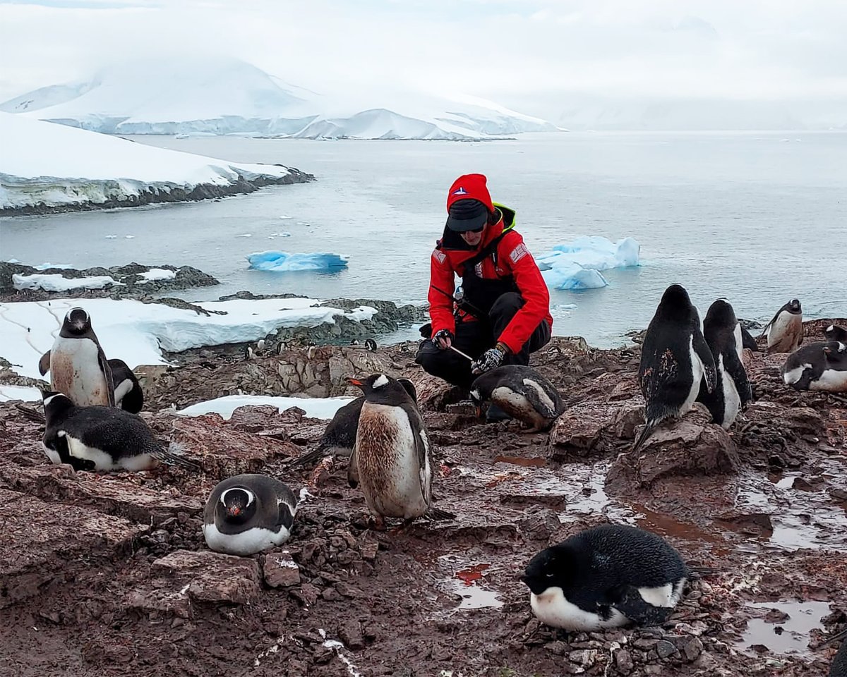 For #PenguinAwarenessDay, we’re celebrating our incredible partners at Seabird Watch and their citizen science project, Penguin Watch! 🐧

This University of Oxford research group is dedicated to penguin conservation, working to protect these iconic birds and their fragile