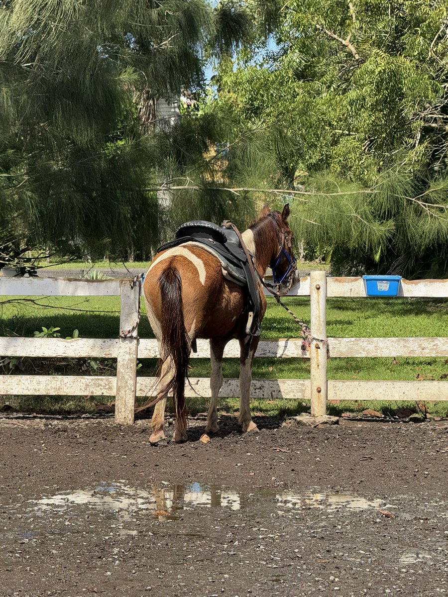 Anne-Sophie tweet media