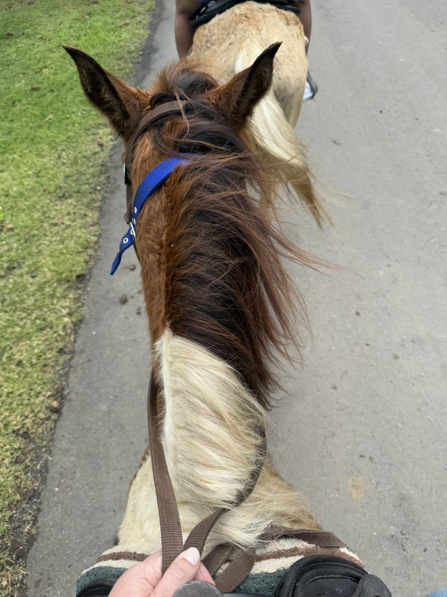 Anne-Sophie tweet media