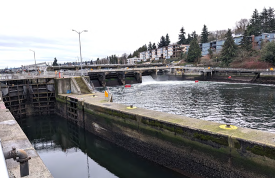 Review of the Lake Washington Ship Canal and Ballard Locks model, Seattle, Washington, 2014–20, ow.ly/50HO50UG6N9