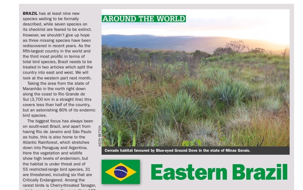 Read my profile of Eastern Brazil in the February issue of Birdwatch - out this week