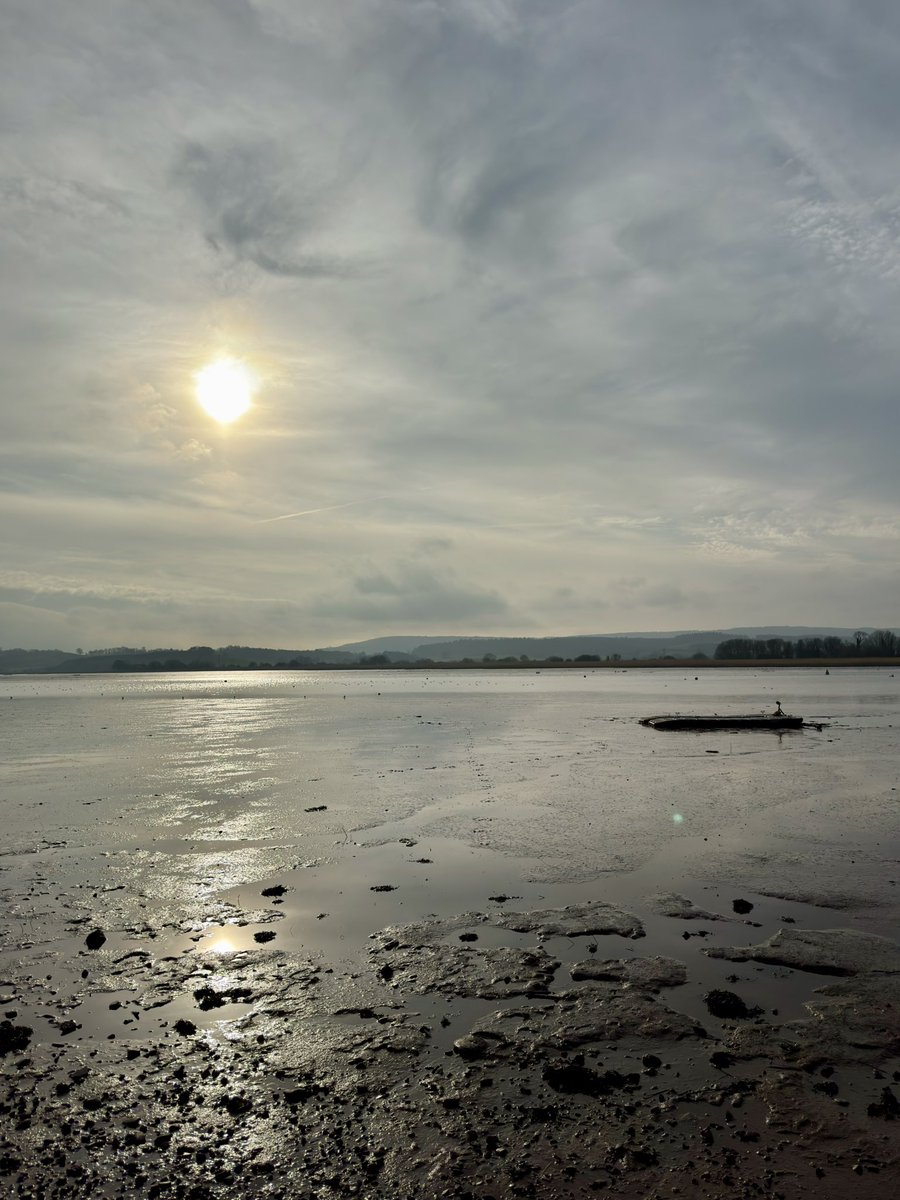 Steve Hearn (@stevesdhearn22) on Twitter photo Lovely light in Topsham today. Lots of birds around the estuary. Highlights 4/5 Marsh Harrier, Scaup, 6+ RB Merganser, 2 Greenshank and hundreds each of Avocets, Golden Plover, Lapwing and BT Godwits <a href="/DevonBirds/">Devon Birds</a> <a href="/wildlife_devon/">Wildlife In Devon</a> <a href="/RSPBExeEstuary/">RSPB Exe Estuary & Darts Farm</a> Lovely light in Topsham today. Lots of birds around the estuary. Highlights 4/5 Marsh Harrier, Scaup, 6+ RB Merganser, 2 Greenshank and hundreds each of Avocets, Golden Plover, Lapwing and BT Godwits <a href="/DevonBirds/">Devon Birds</a> <a href="/wildlife_devon/">Wildlife In Devon</a> <a href="/RSPBExeEstuary/">RSPB Exe Estuary & Darts Farm</a>