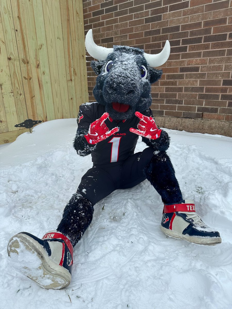 meanwhile in houston 🤘