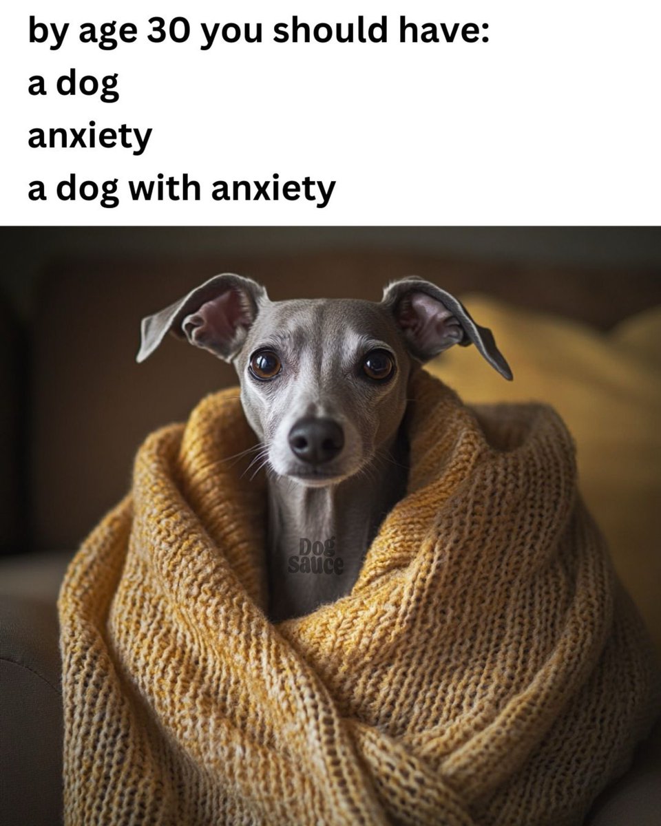 dogsauceco's tweet photo. I don’t make the rules. 

#dogsauce #fiberfordogs #dogs #funny #mealtopper #trending #bonebrothfordogs #memes https://t.co/DQJEsU6MS5
