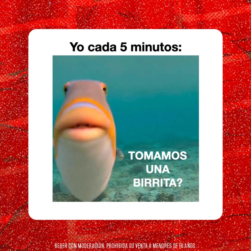 CervezaBrahma's tweet photo. Ola de calor, ola de seddd. Imposible no querer una birrita helada 🍻🤪