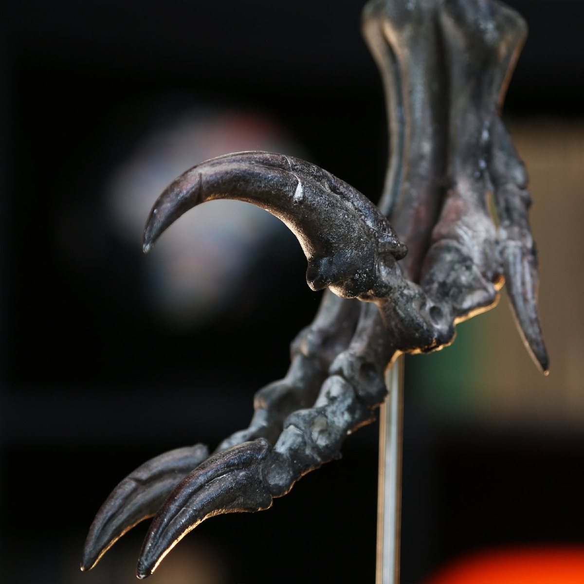 CuratedStudio tweet media