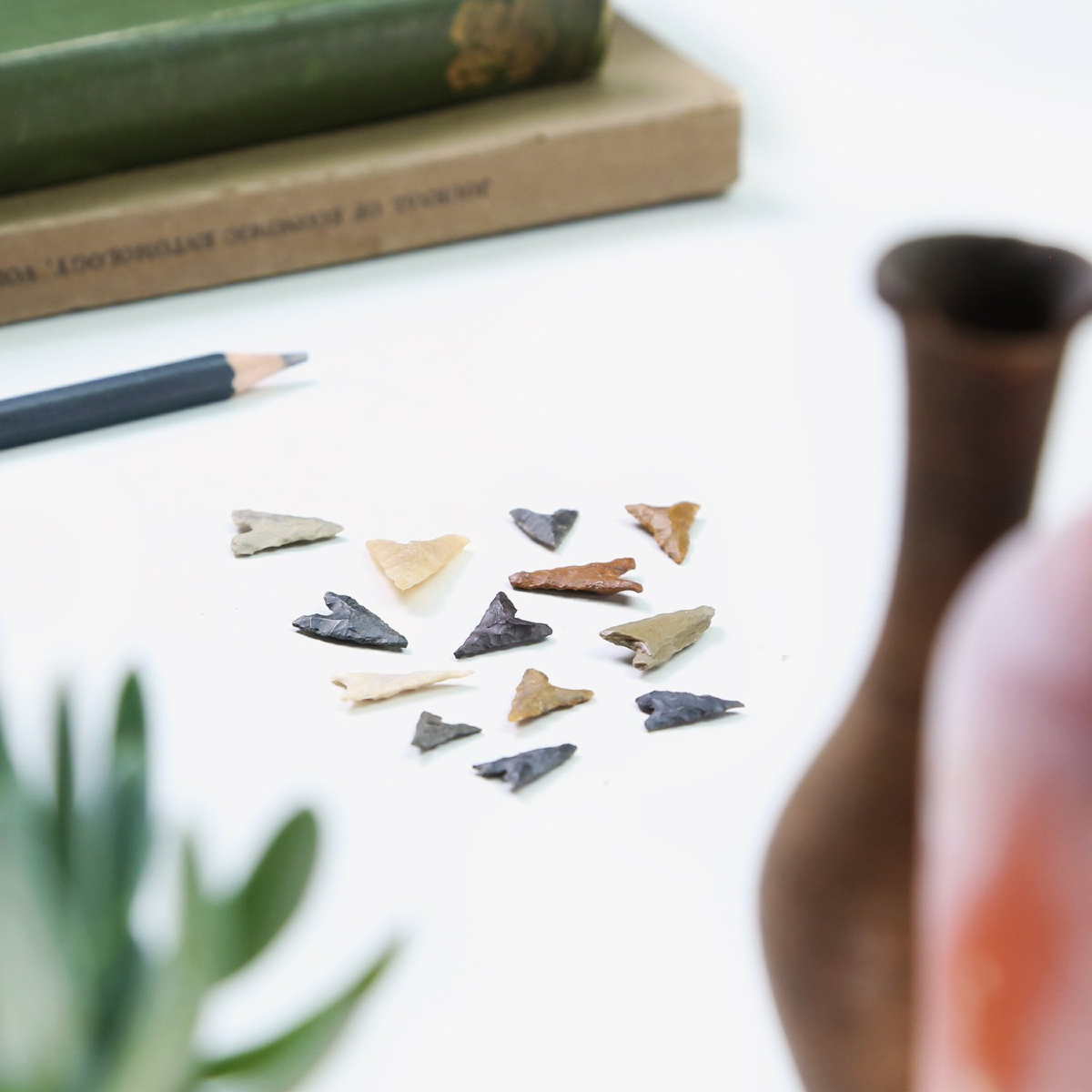 CuratedStudio tweet media