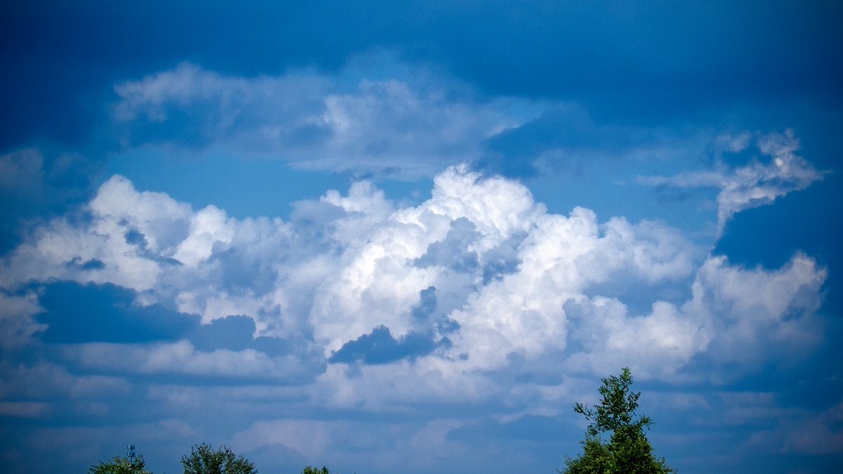 L. Spiro tweet media