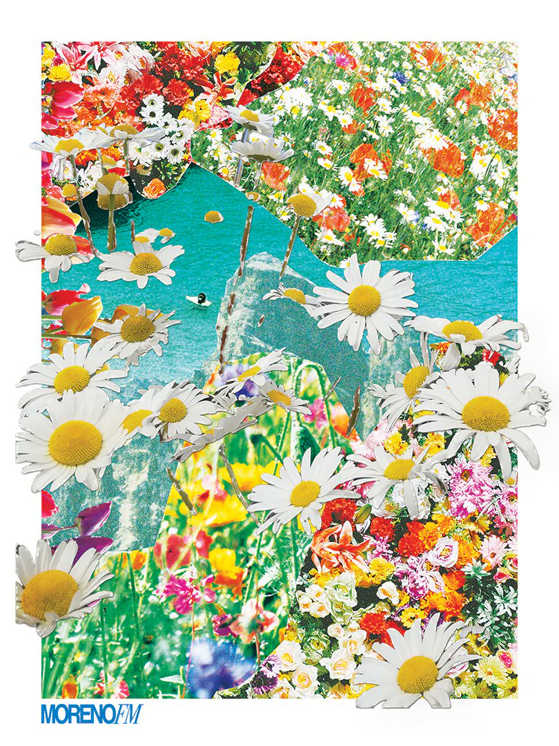 again&again tweet media