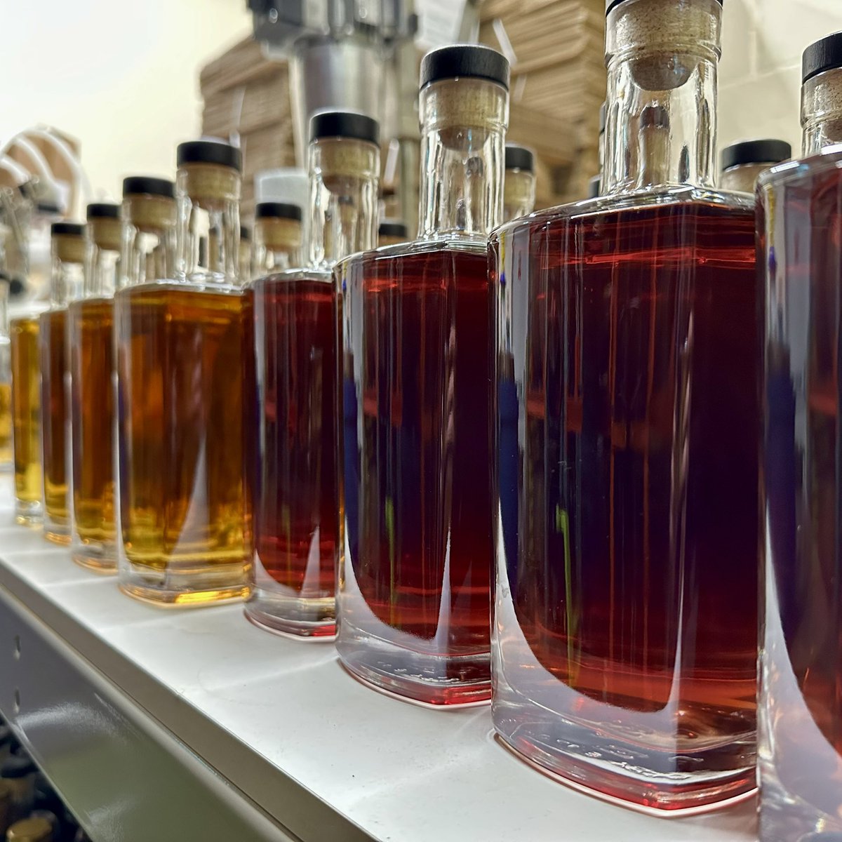 fibwhisky's tweet image. 10 hour shift at the Fib Indy Warehouse! 🥵🥃

Any guesses on our next Before &amp;amp; After? 👀

#whisky #singlecask #caskstrength #independentbottler #fife #smallbusiness #slàinte