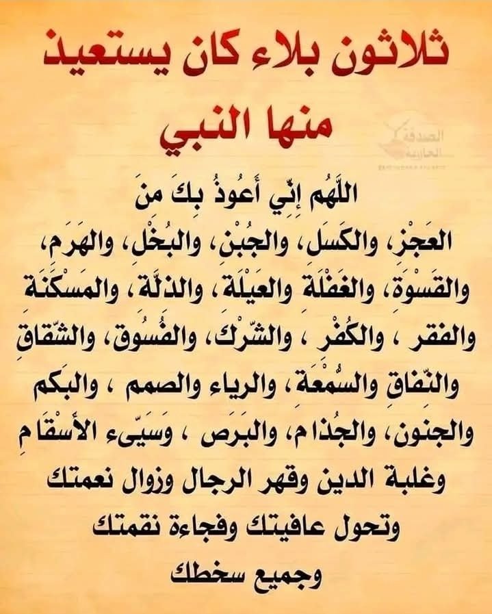 زهره النسيم tweet media