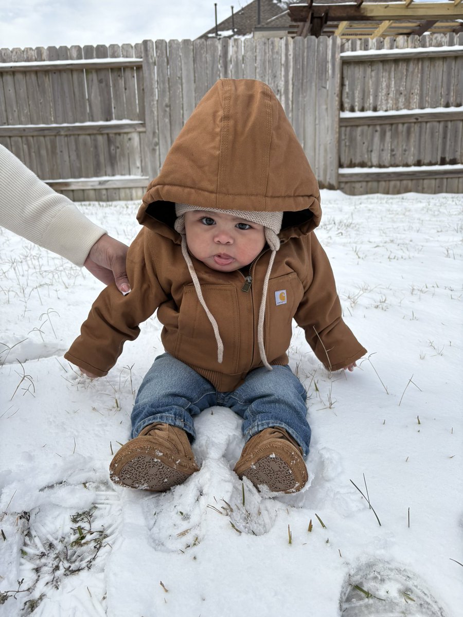 shardacemon's tweet image. 🩵❄️