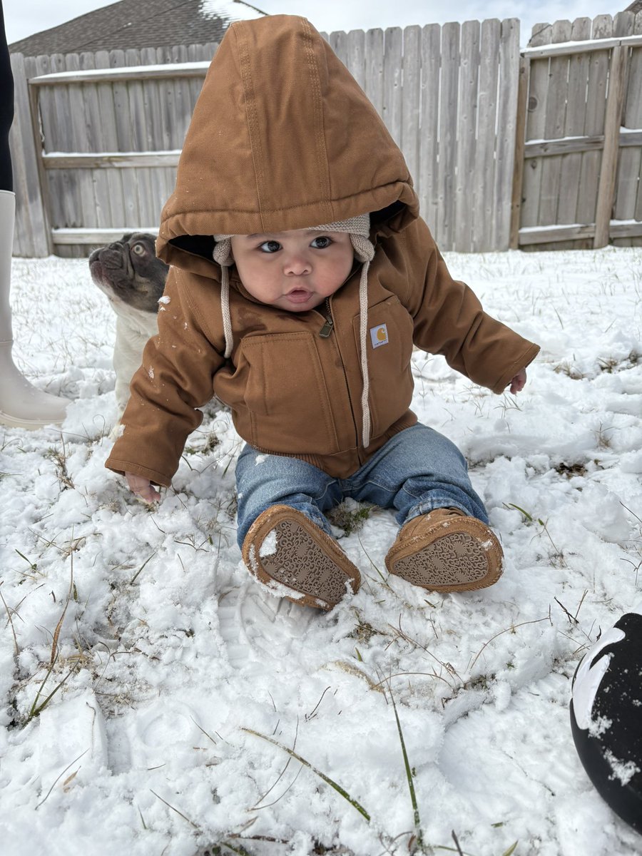 shardacemon's tweet image. 🩵❄️