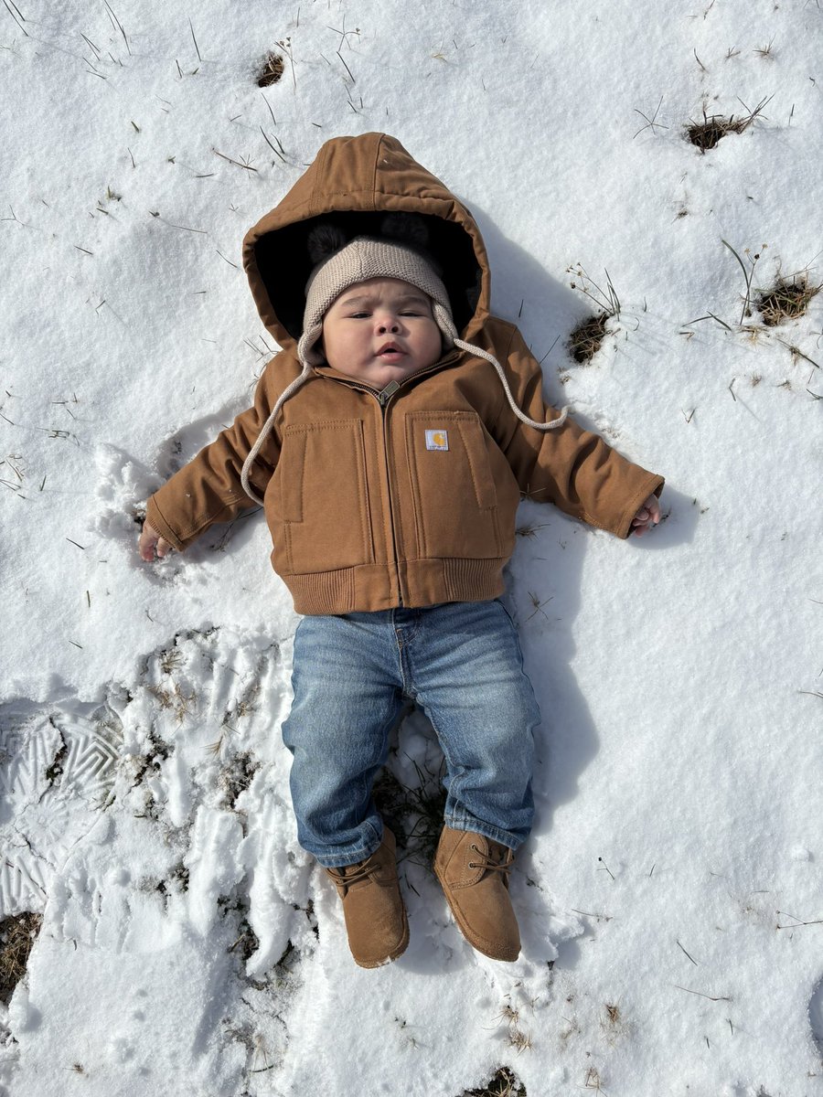 shardacemon's tweet image. 🩵❄️