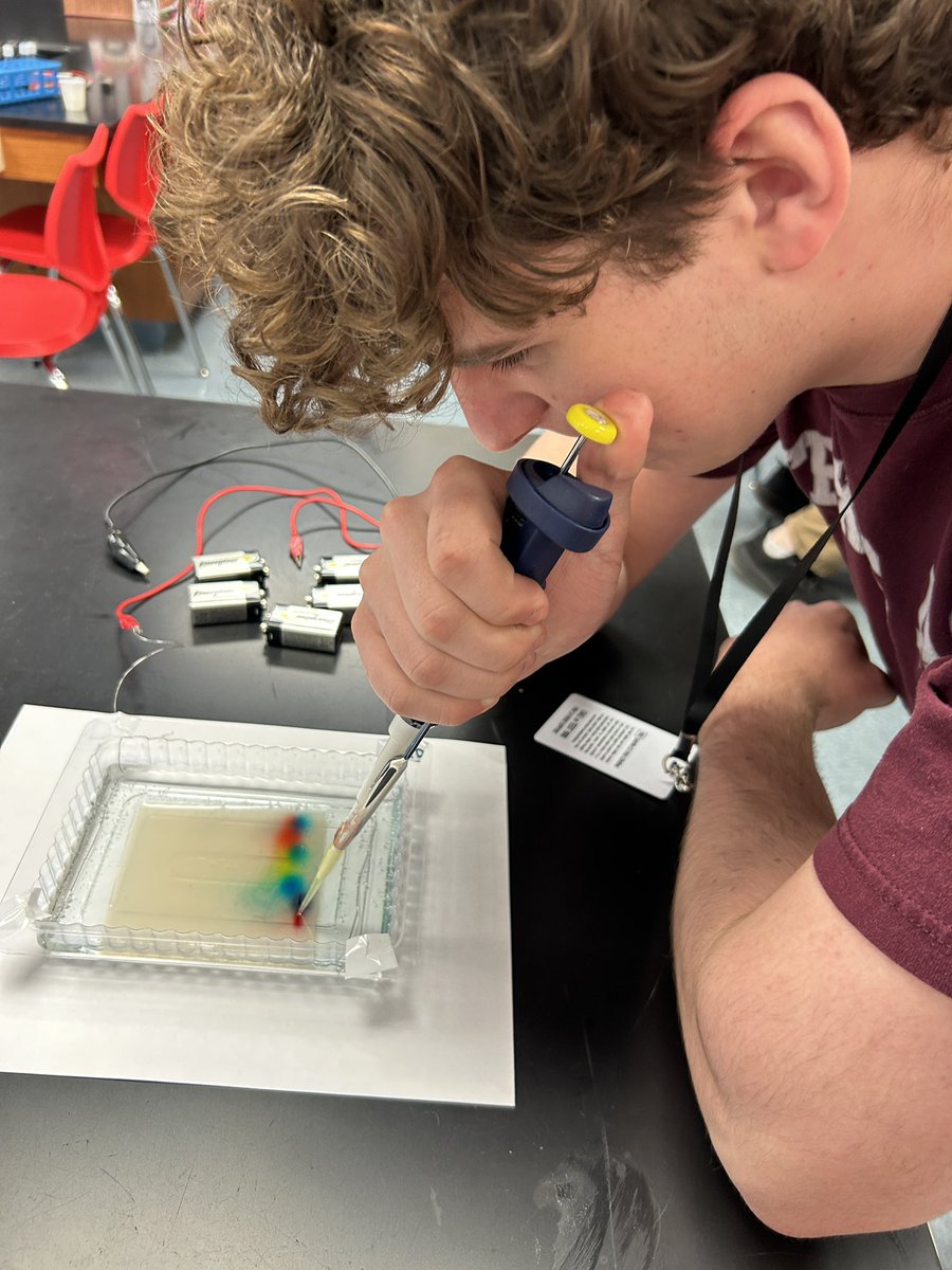 Gel Electrophoresis Lab! <a href="/chhspanthers/">CHHS Panthers</a>