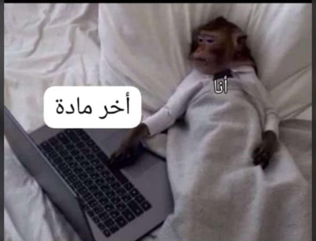 Fatma Seif (@fatmaseif77) on Twitter photo 