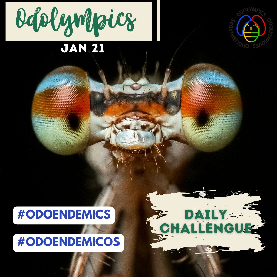 OdonataAmericas's tweet photo. Today, show us your #odoendemics. We are sure your country is plenty of gorgeous dragonflies that other people haven't seen yet!
Upload your records on:
Odonata Central: https://t.co/1YBEJTUAUr
INaturalist: https://t.co/S8UDILh9aW
#odolimpiadas #odolympics https://t.co/gO8uj2GDTw