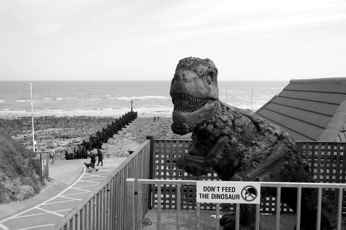 RKW1899's tweet photo. #AlphabetChallenge #WeekDforDanger
They can get a bit peckish #doyouthinkhesaurus https://t.co/tcCILtBnRb