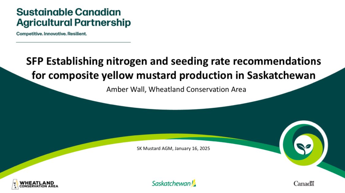 Find my yellow mustard presentation from last weeks <a href="/GrowMustard/">Sask Mustard</a> AGM under “research” on our website, or click the link!🌭

wheatlandconservation.ca/wp-content/upl…
