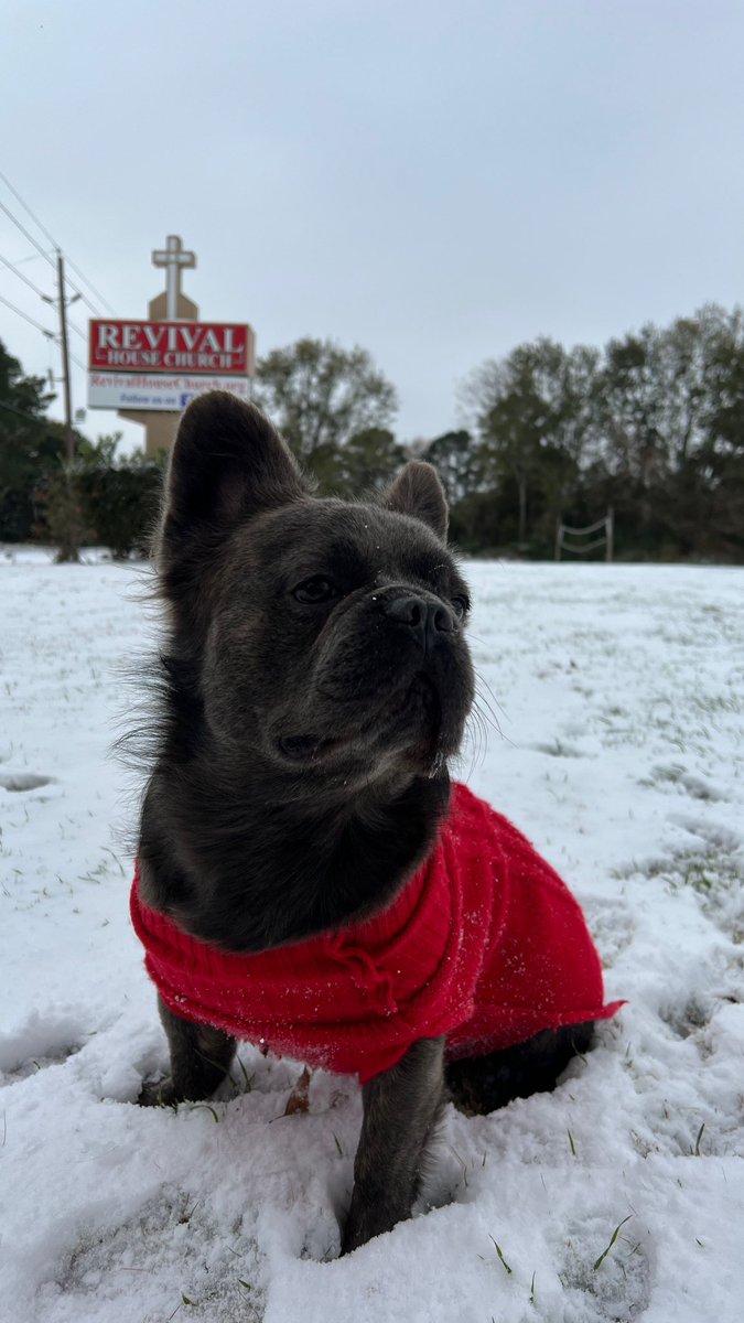 snow day in Houston