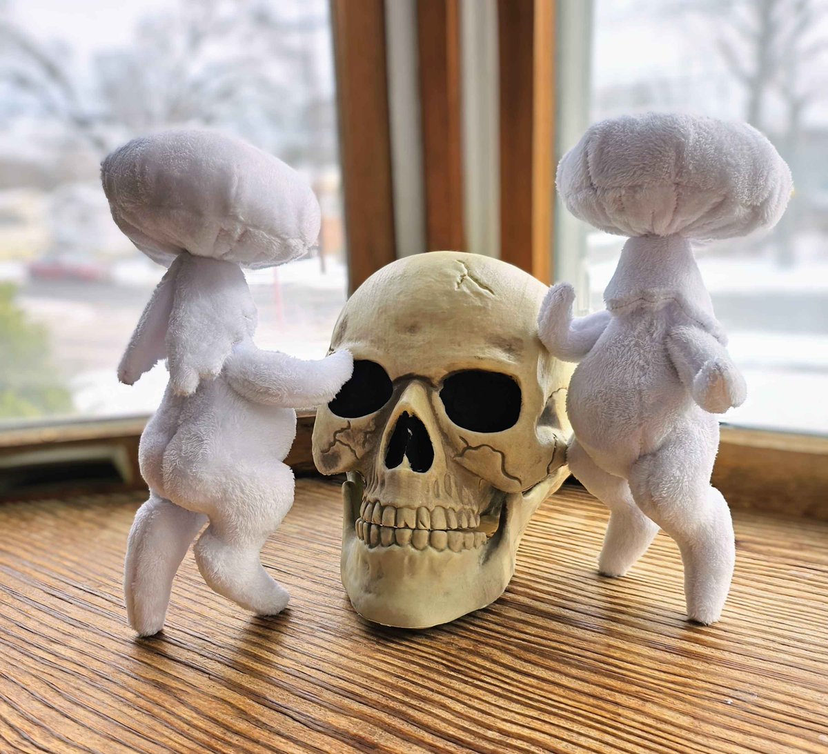 plushypuppy's tweet image. Brand new mushling alert! Say hello to the destroying angel! (because   let&apos;s be honest the vibes are rancid, let&apos;s add some deadly poison to  the mix)   These mushlings make fantastic protectors. Talk about a ride-or-die, or in this case, ride-or-kill, friend.