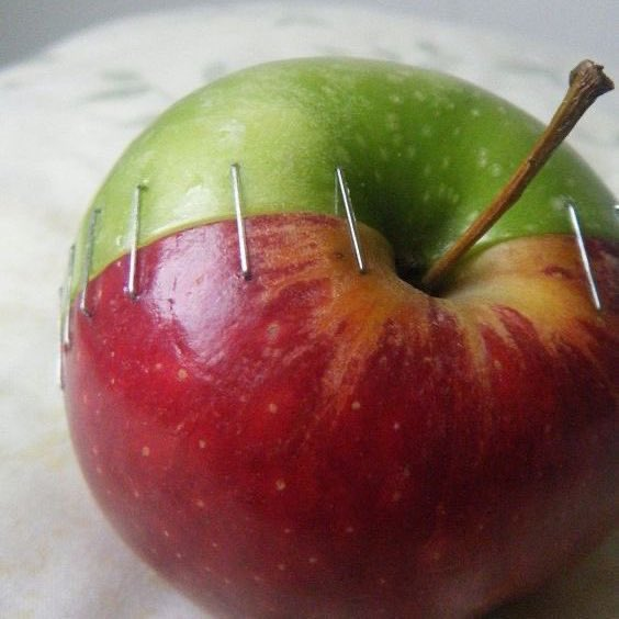 İki yarım elmanın  intizamla birleştirildiğini gören bir akıl sahibi, bunu birinin yaptığını ve kendiliğinden böyle olmadığını bilir.
Bu intizamla kıyaslanamayacak üstünlükteki sanatla yapılmış bir elmanın kendiliğinden, tesadüfen meydana geldiğini iddia edene ne denir?