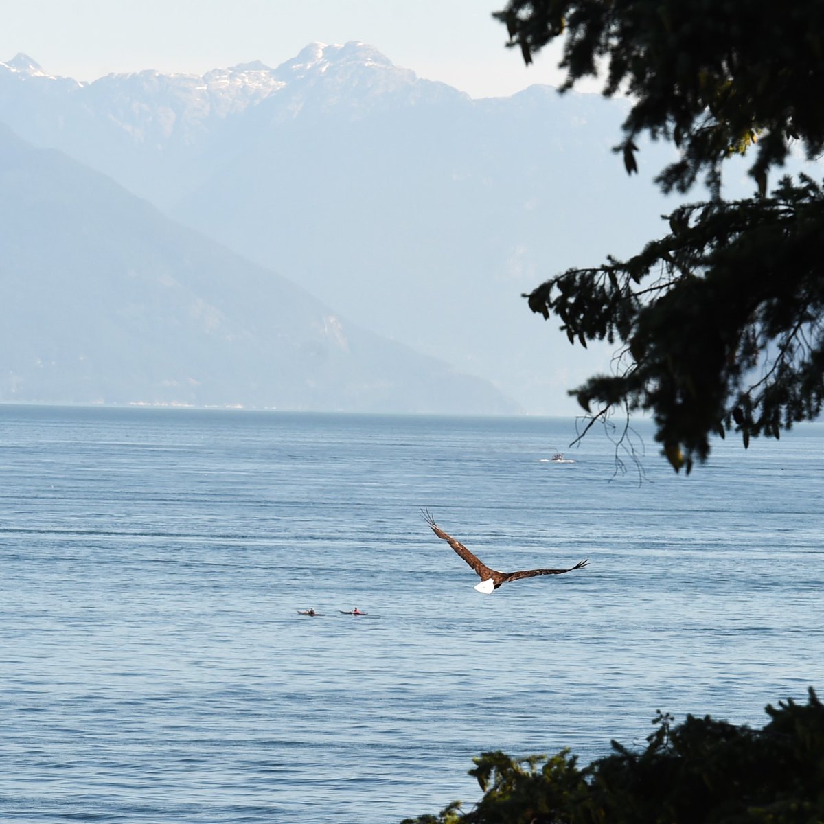 Brendan Kergin tweet media