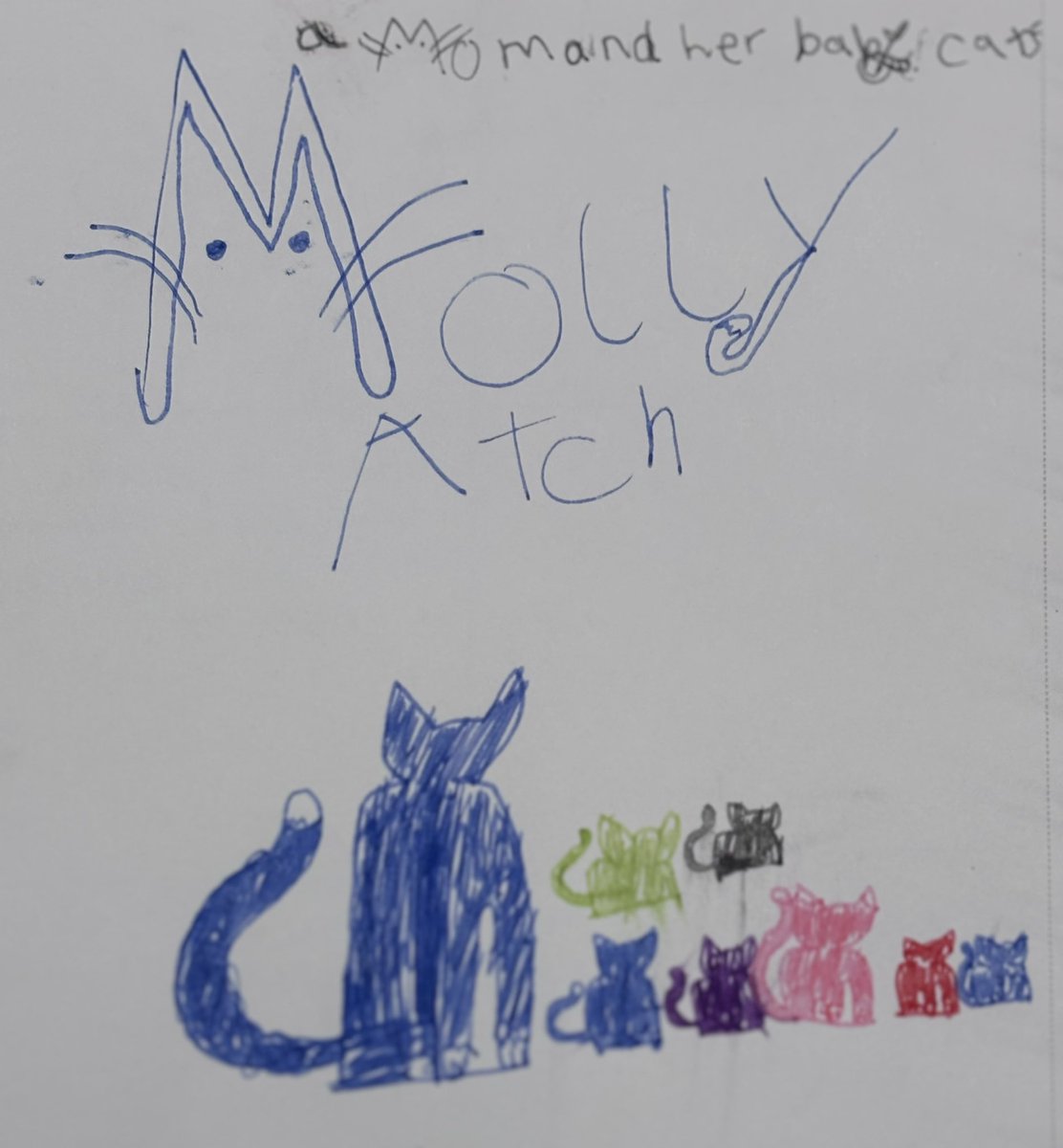 Molly Match tweet media