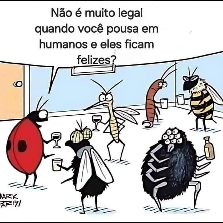 dialogos_curtos's tweet photo. https://t.co/Uo0N4ewqzs