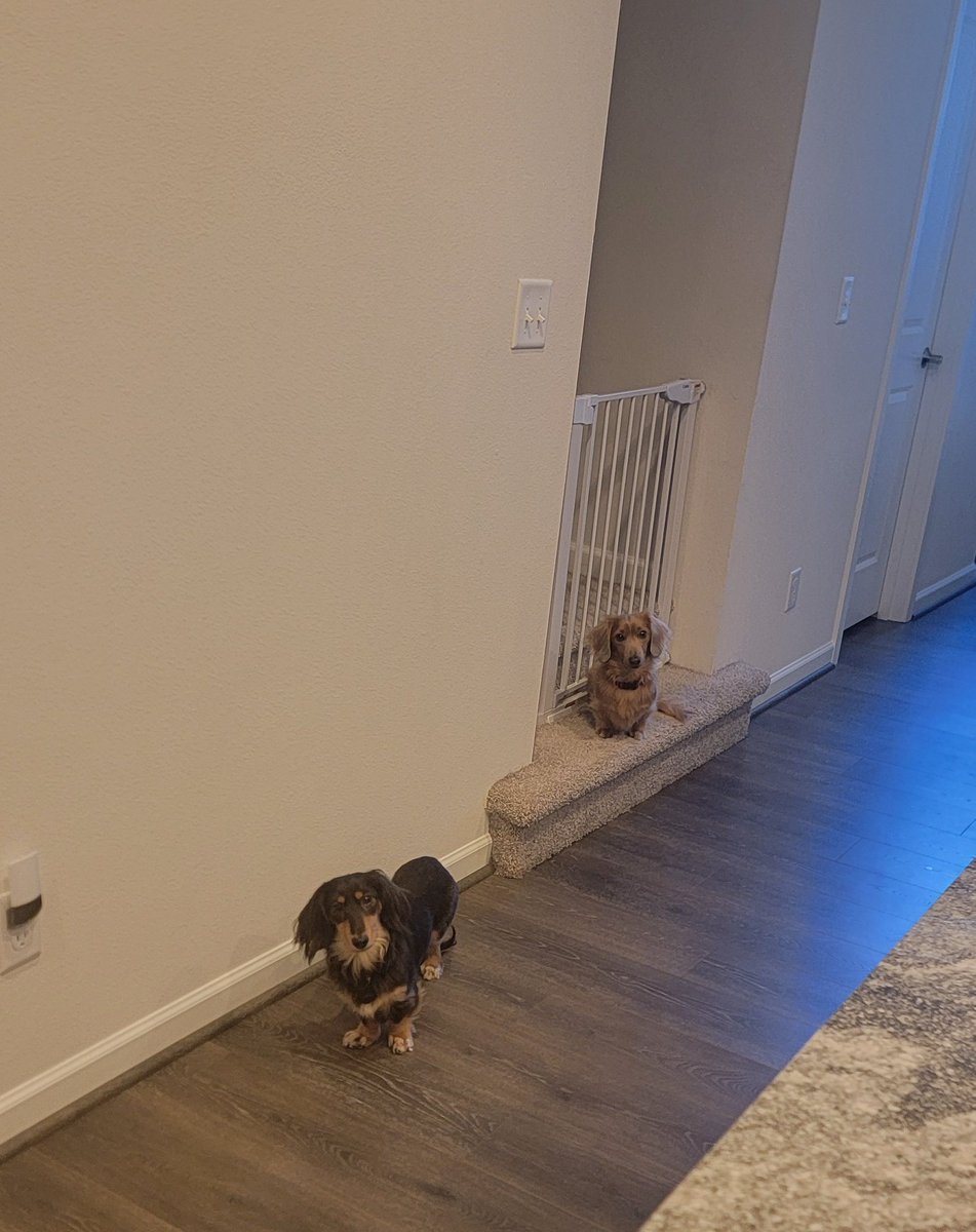 Austin Yost tweet media