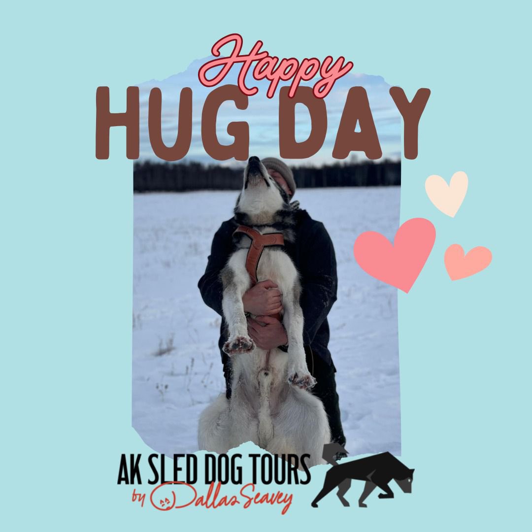 Happy International Hugging Day! Who else is celebrating today with warm snuggles?

#alaskanhuskies #dogmusher #mushinglife #alaskalife #sleddog