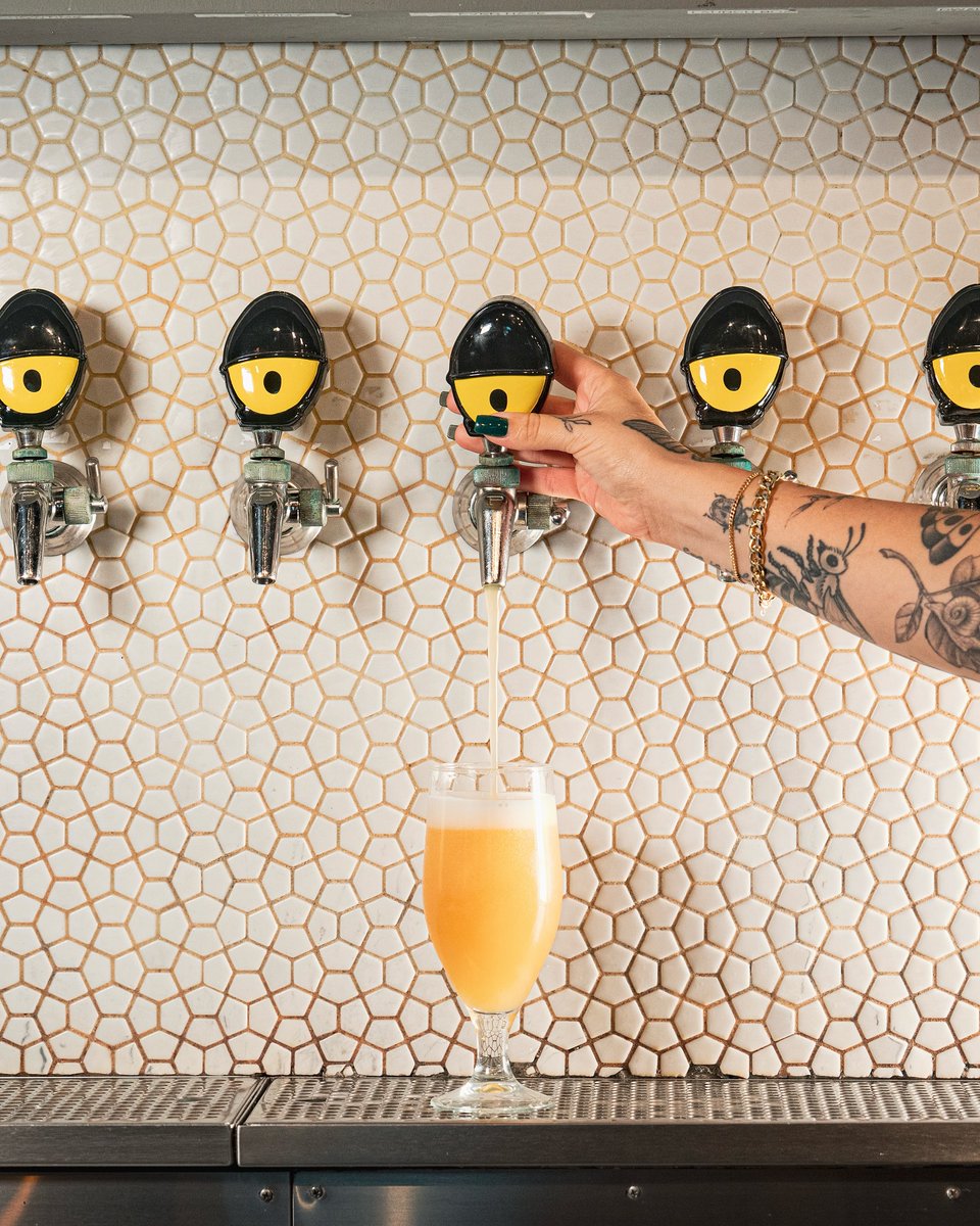 Craftapped's tweet image. Florida!  We have a second Tripping Animals Brewing location in Oakland Park for you to visit!  Cheers.