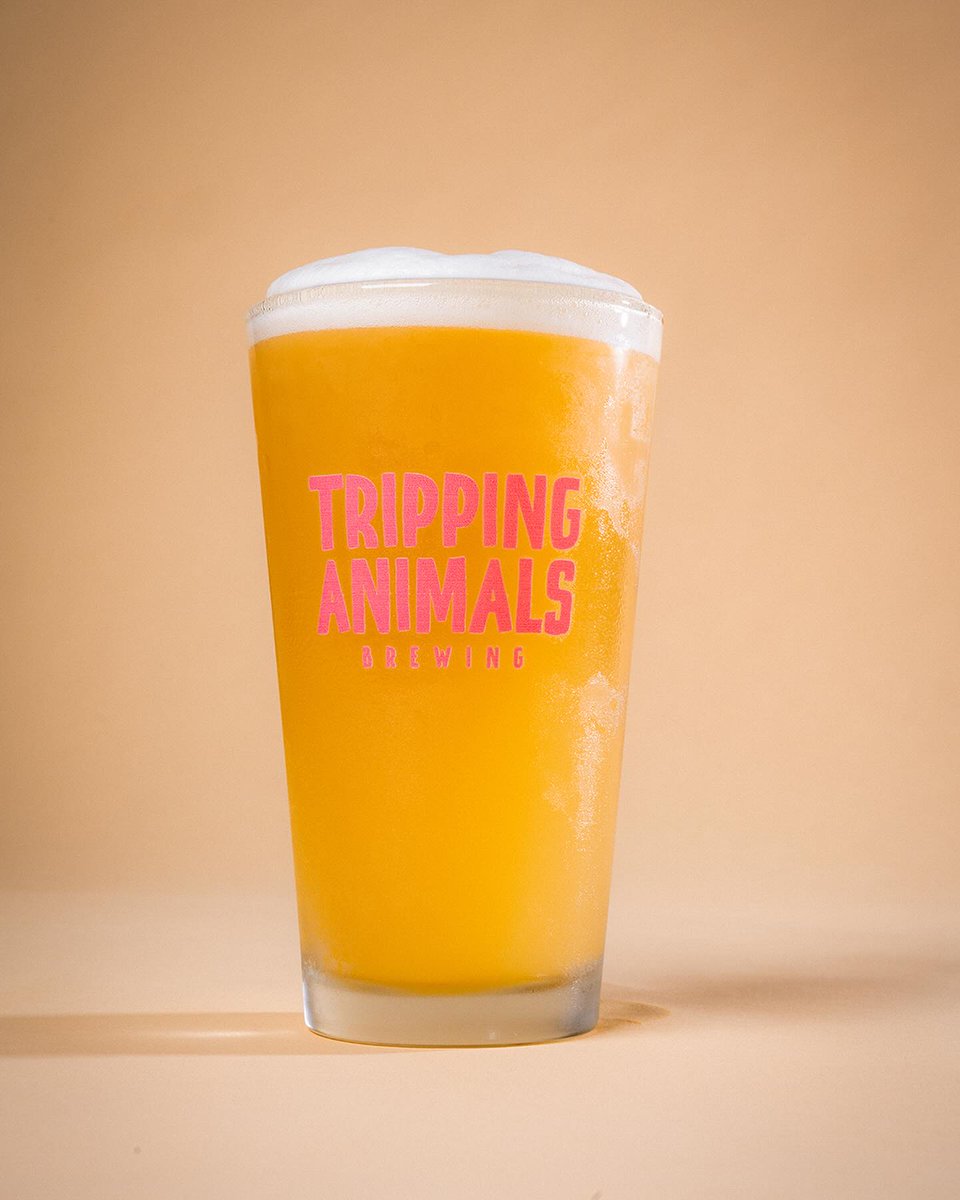 Craftapped's tweet image. Florida!  We have a second Tripping Animals Brewing location in Oakland Park for you to visit!  Cheers.
