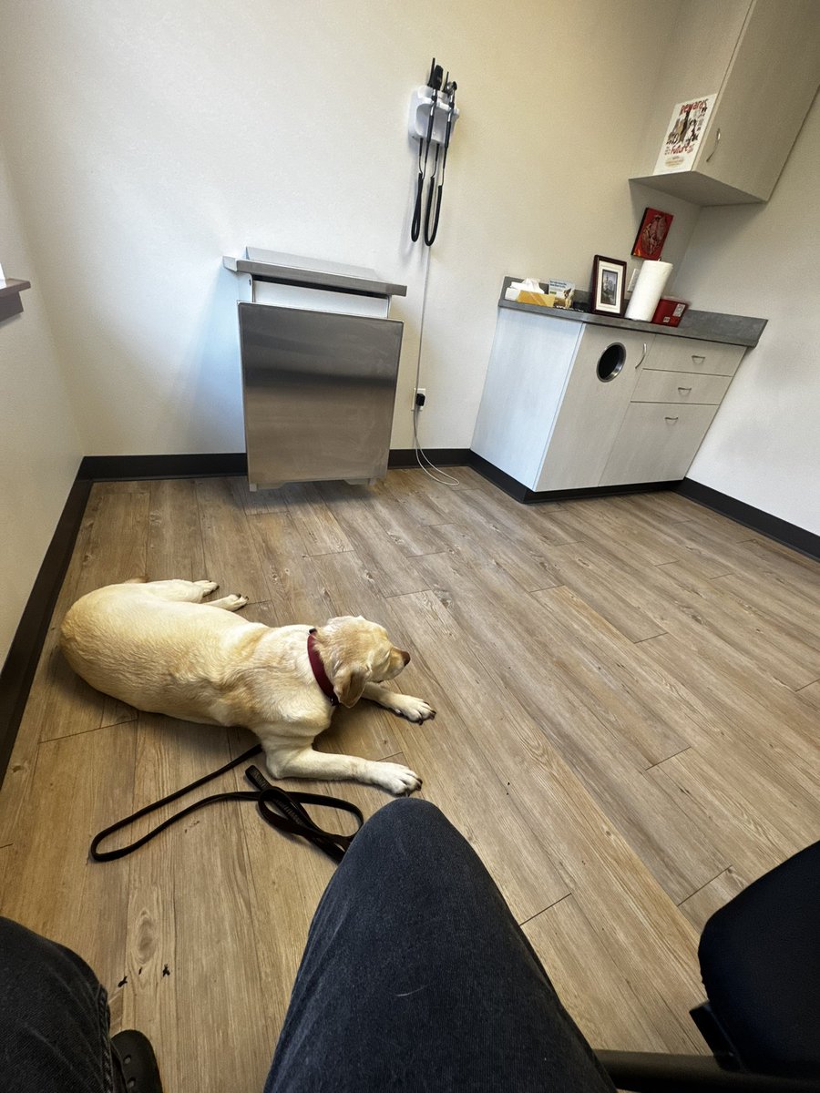 My girl is getting surgery currently &amp; we need all the help we can get as we’ve borrowed so much from family &amp; still need funds for after care for a few nights. Please donate if you can my girl is healthy a part from this. Thanks all! 

gofund.me/35841601