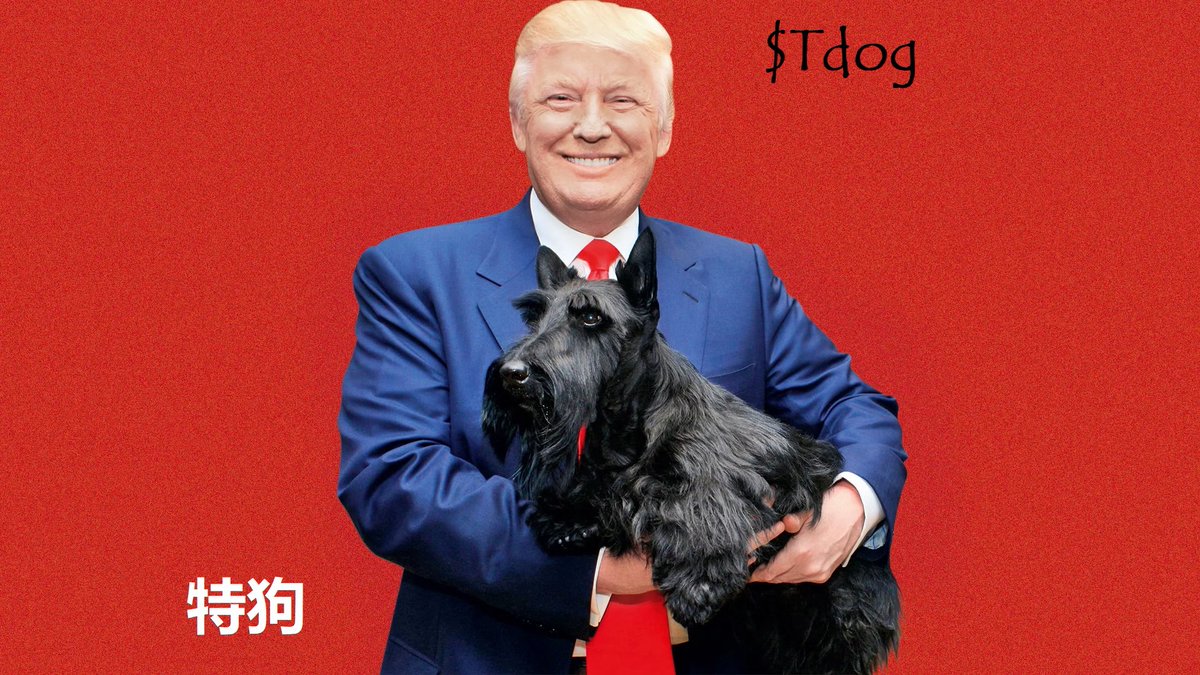 TrumpTdog's tweet photo. @ChinaPumpWXC TRUMP DOG OFFICIAL 
CHECK ON https://t.co/2XeBvNbOPZ 
ADRES: SOON

🚨🚨We will lunch soon.. 🚨🚨 
 The current narrative puts wind in our sails.   
 $TDOG wants to get out of the cage now https://t.co/yz5yG2QYgL