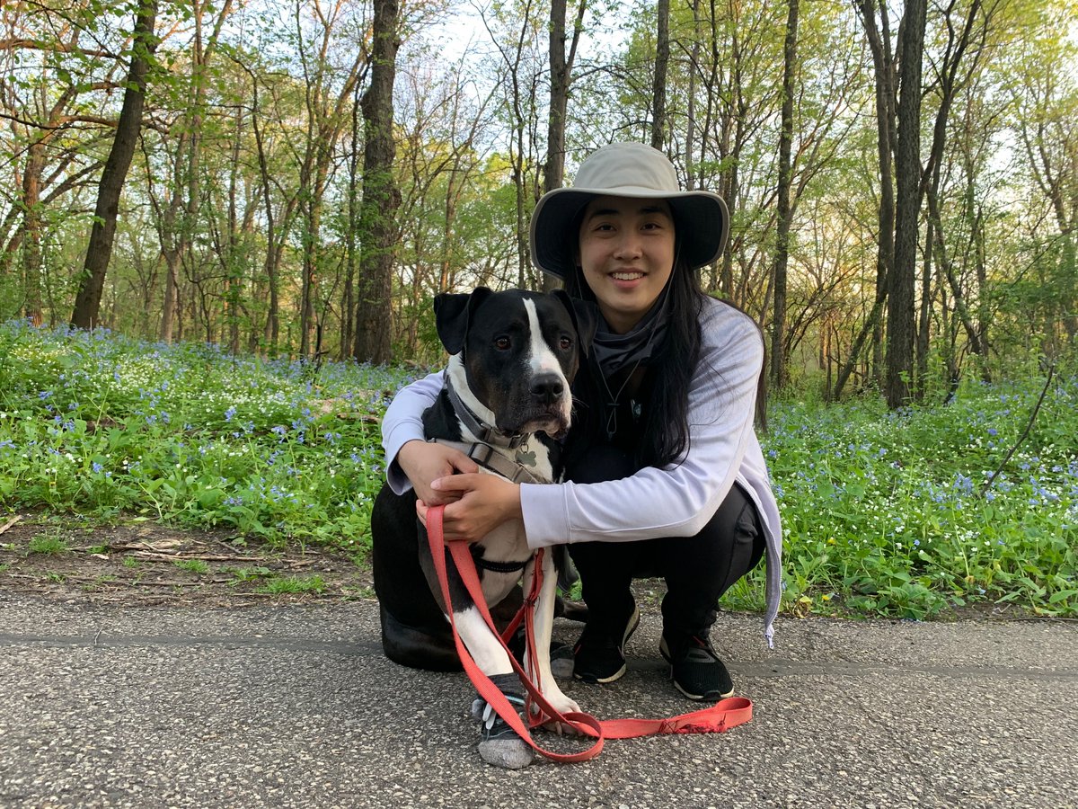 Diane Sun tweet media