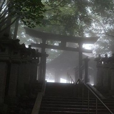 thinhaech's tweet image. ˚ ೀ⋆｡ 𝒔𝒕𝒂𝒚 𝒉𝒖𝒏𝒈𝒓𝒚, 𝒔𝒕𝒂𝒚 𝒇𝒐𝒄𝒖𝒔𝒆𝒅
  thread para lembrar: dor é temporária, magreza é eterna.
♡ + ⟳ são apreciados !